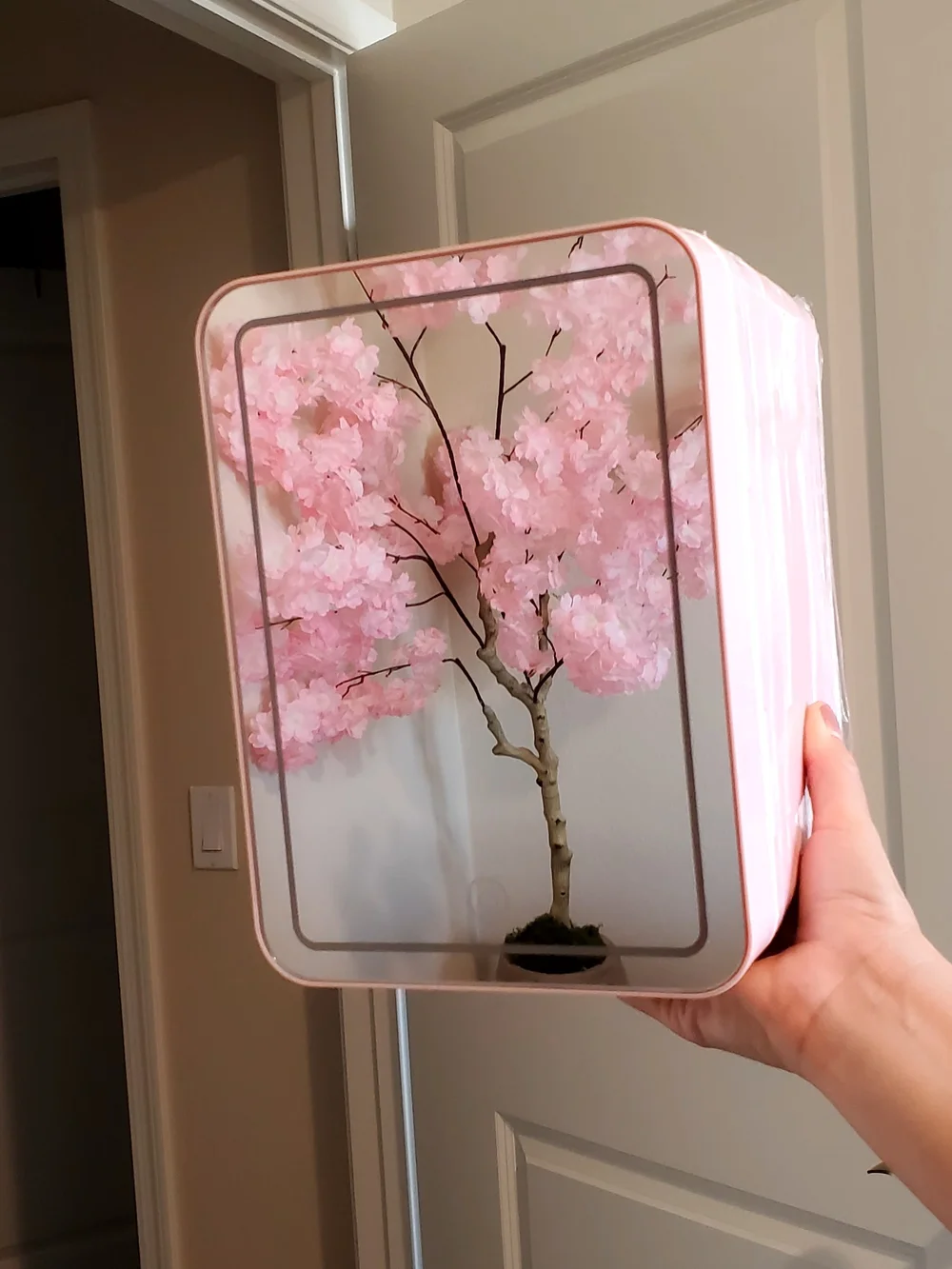 Pink Mini Fridge Organizer with Mirror